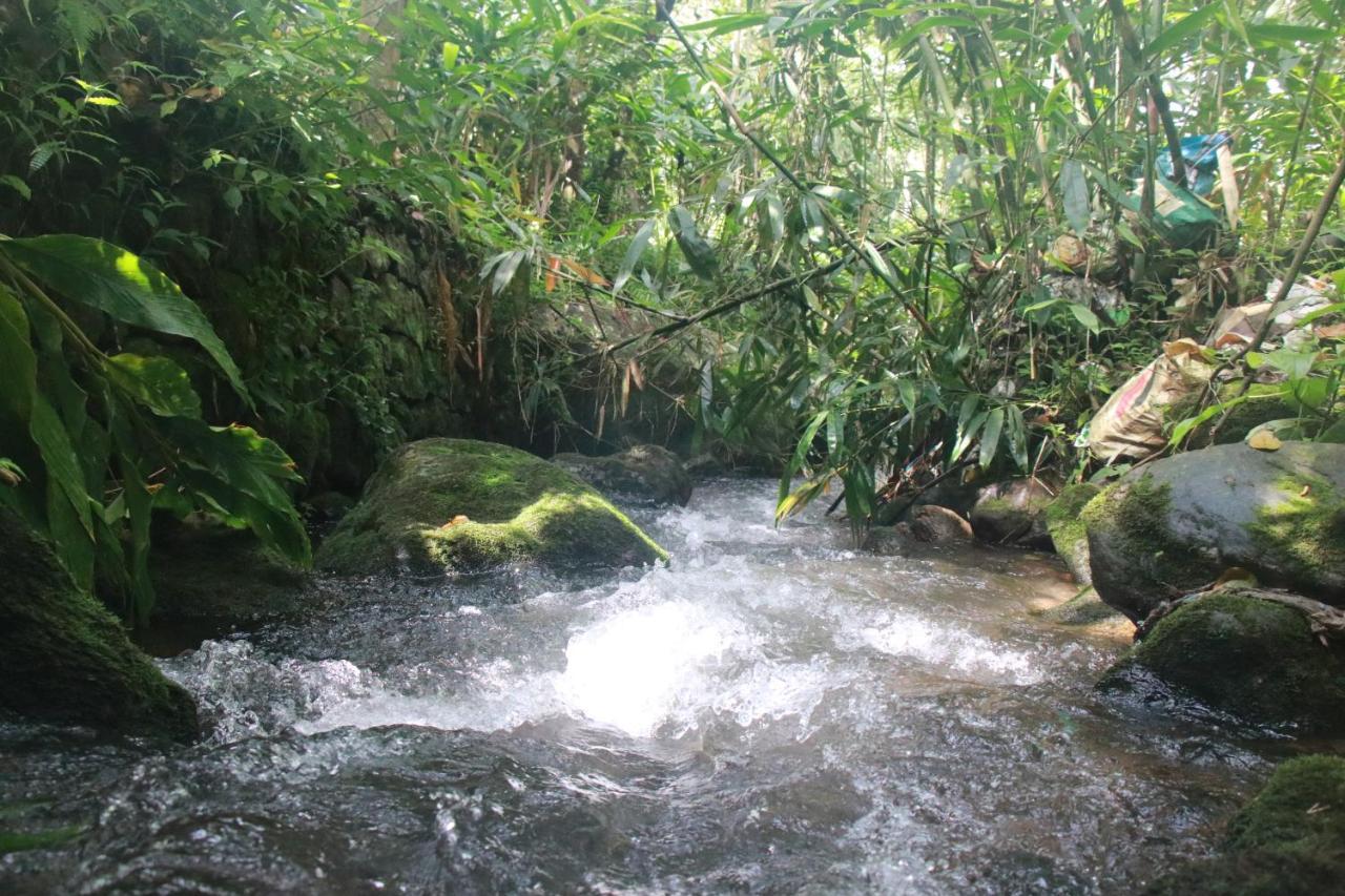 Nature Routes Cottage Munnar Luaran gambar