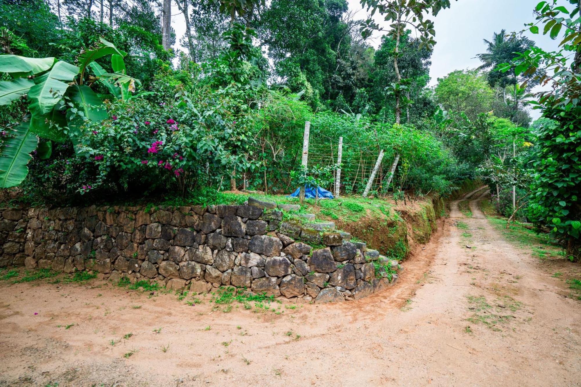 Nature Routes Cottage Munnar Luaran gambar