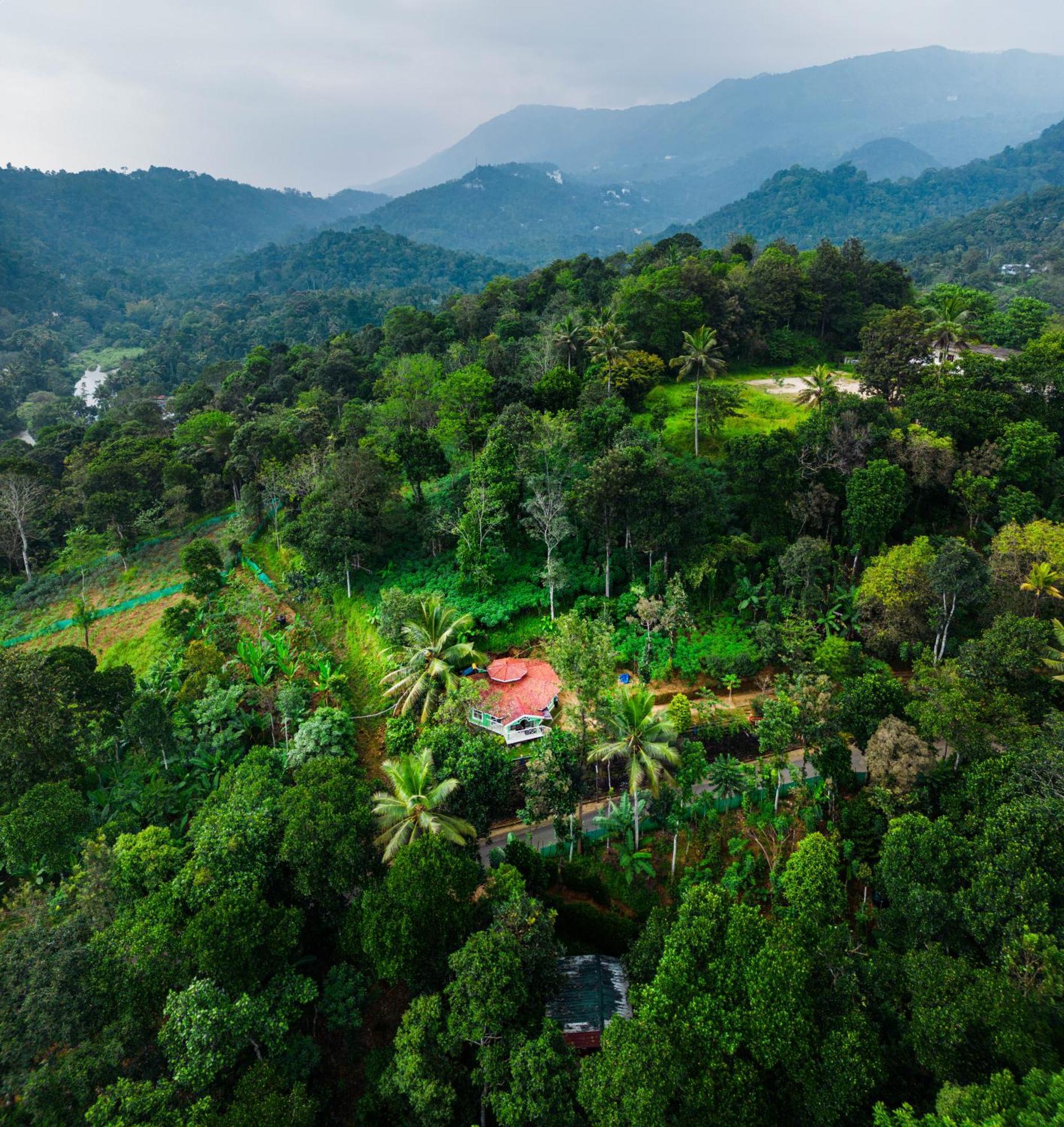 Nature Routes Cottage Munnar Luaran gambar